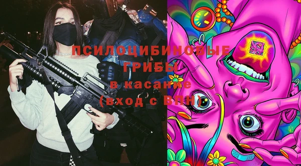 apvp Абаза