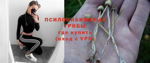 apvp Абаза