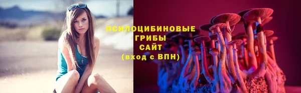 apvp Абаза