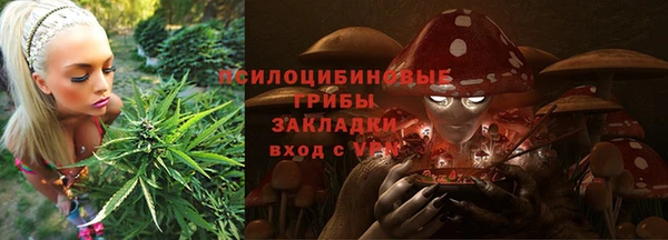 apvp Абаза